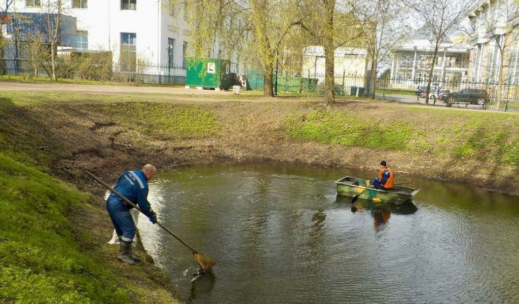 Петербуржцам напомнили о поддержании экологии и сборе опасных отходов экослужбами