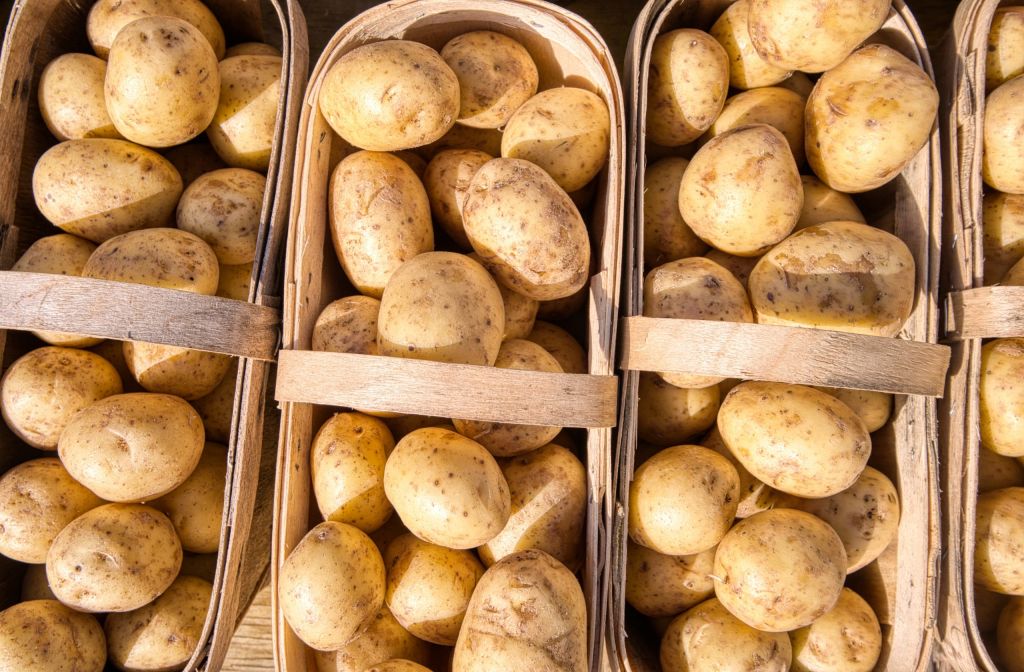 Россиянам рассказали, как правильно выбрать картофель