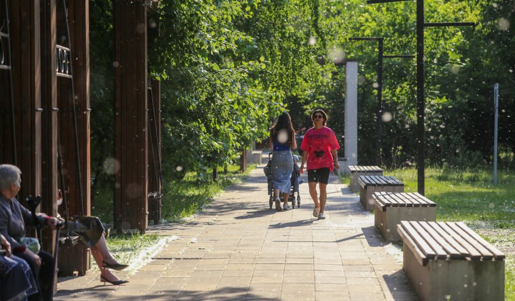 Ленобласть налаживает совместное производство и партнерство с Белоруссией