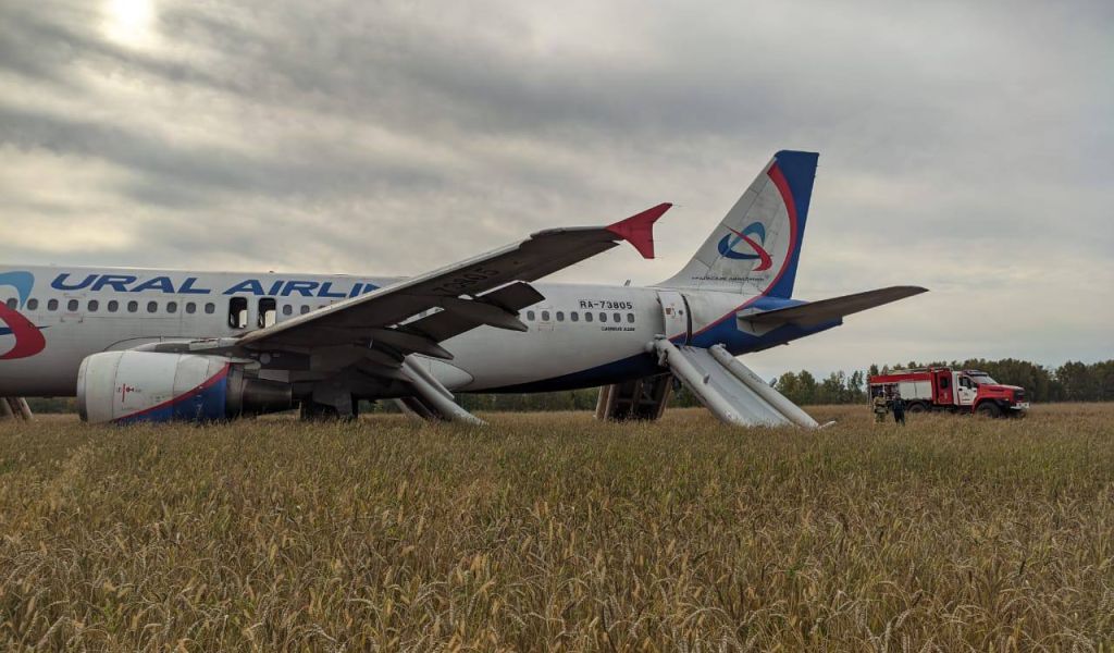 Что известно об экстренной посадке самолета в поле под Новосибирском