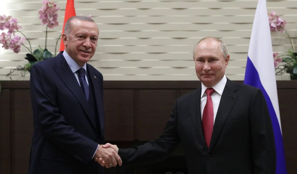 Путин и Эрдоган договорились о встрече, чтобы «обсудить украинский кризис»