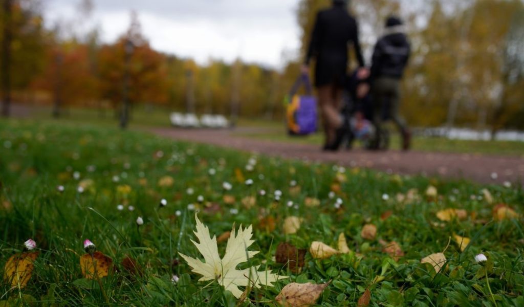 37 тысяч жителей Подмосковья приняли участие в голосовании за благоустройство
