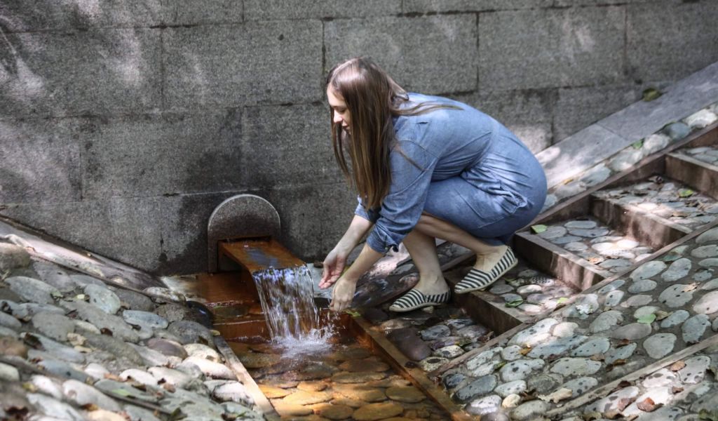 Вода из родника может содержать вирус гепатита А и возбудители кишечных заболеваний