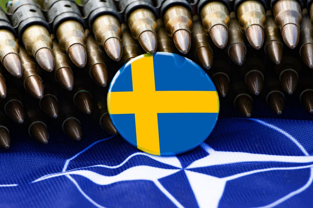 Швеция опровергла слухи об отказе сотрудничать с Данией и ФРГ по «Северным потокам»