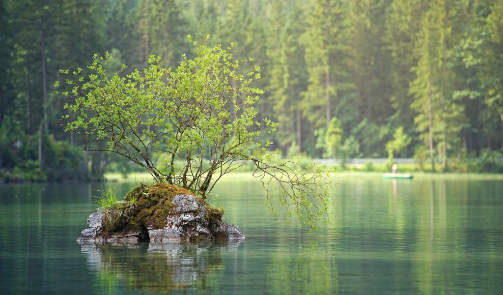 В период майских праздников на водоемах МО проводят профилактические рейды