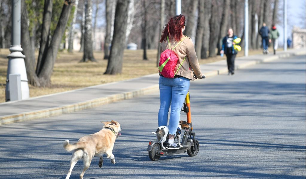 В Петербурге предложили предоставлять самокаты в аренду только по паспорту