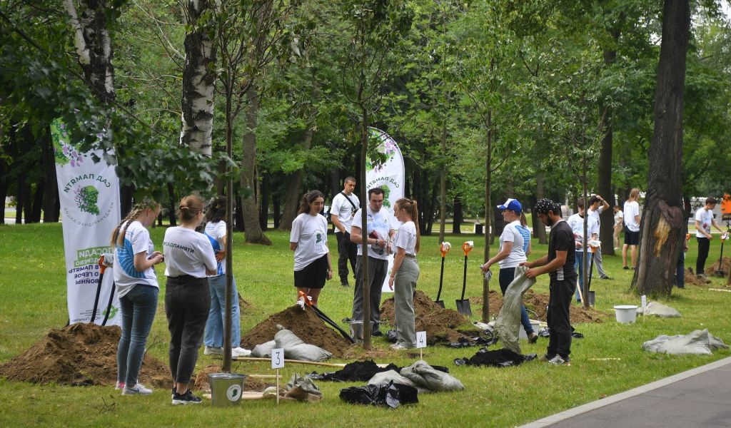 Петербуржцы смогут сами высадить деревья и кустарники в городских парках