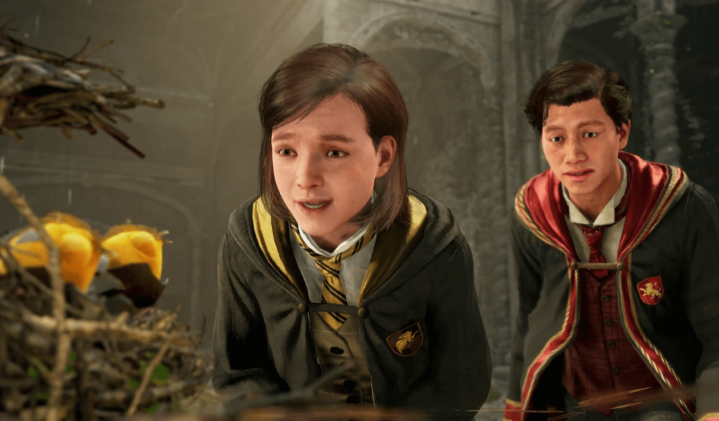 Игроков в Hogwarts Legacy оставили без романтики