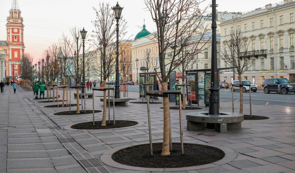 В центре Петербурга установят декоративные яблони