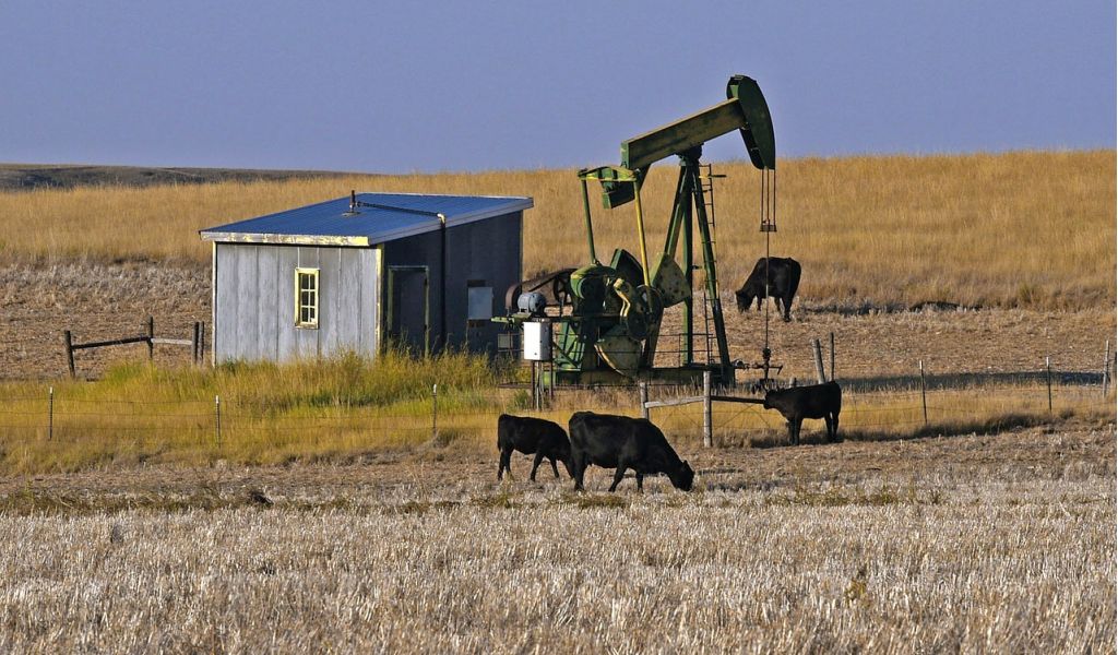 От 5 до 10 лет в США будут лечить «зависимость» от российской нефти