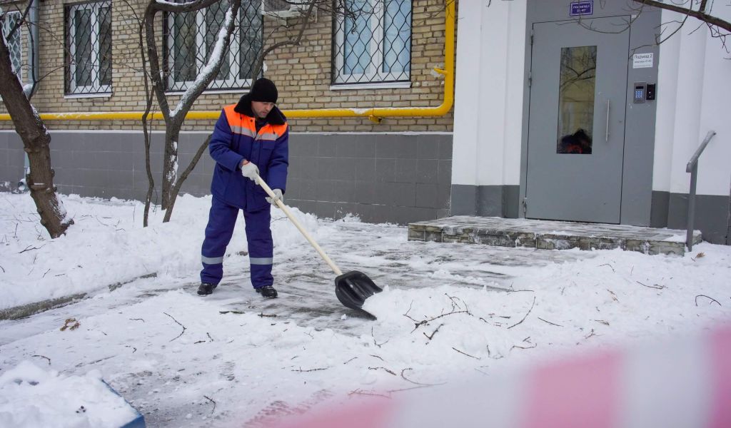 Каждый снегопад — катастрофа: петербуржцы раскритиковали отчет Комблага по вывозу снега с улиц