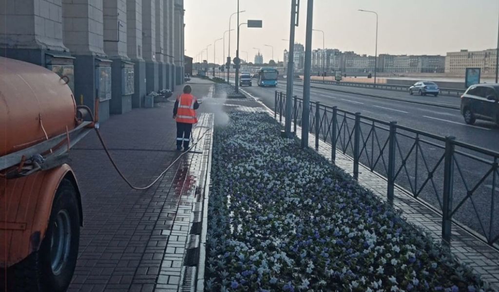 В Комитете по благоустройству Петербурга рассказали, как летом городские службы спасают клумбы от засухи