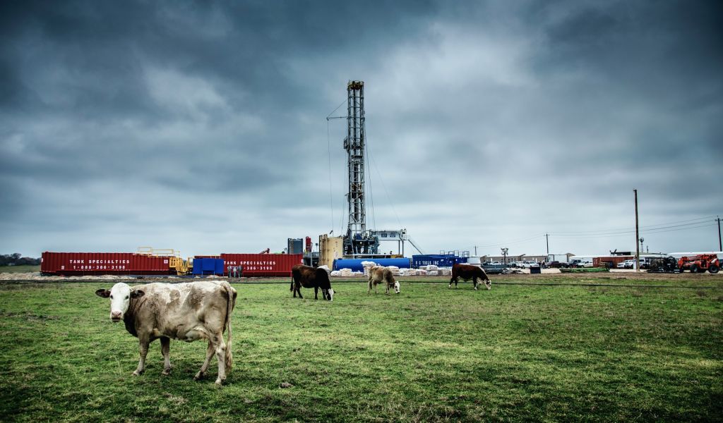 Кому нужна нефть: цены на черное золото снизились почти на 30% за два месяца