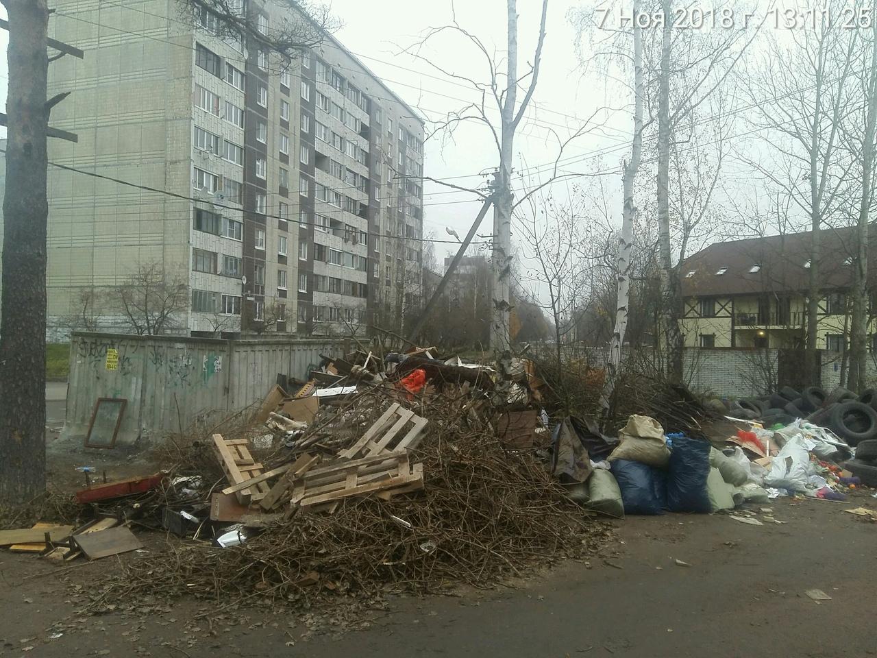 Спб ленобласть новости сегодня