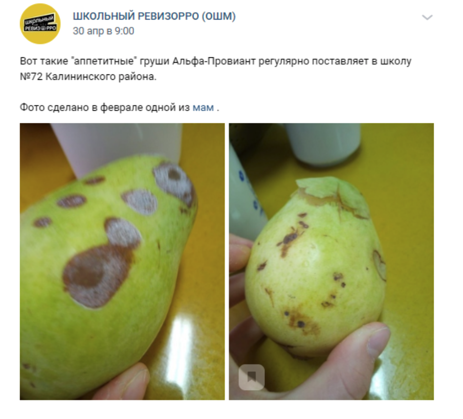 Сотрудники "Альфа-Провиант" возложили ответственность за испорченные фрукты на школьников