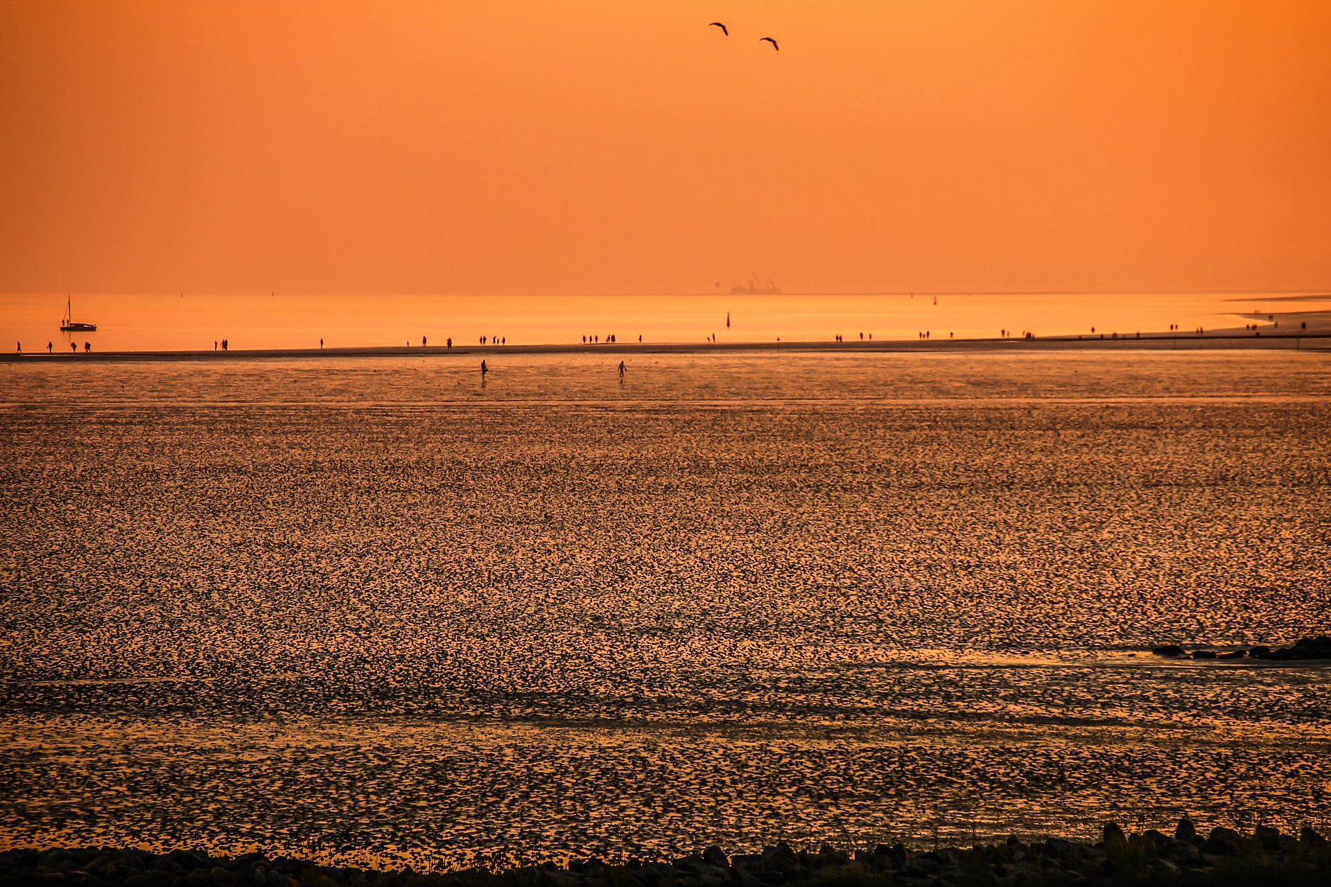 Low coast. Mudflat.