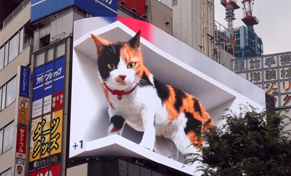 кот япония