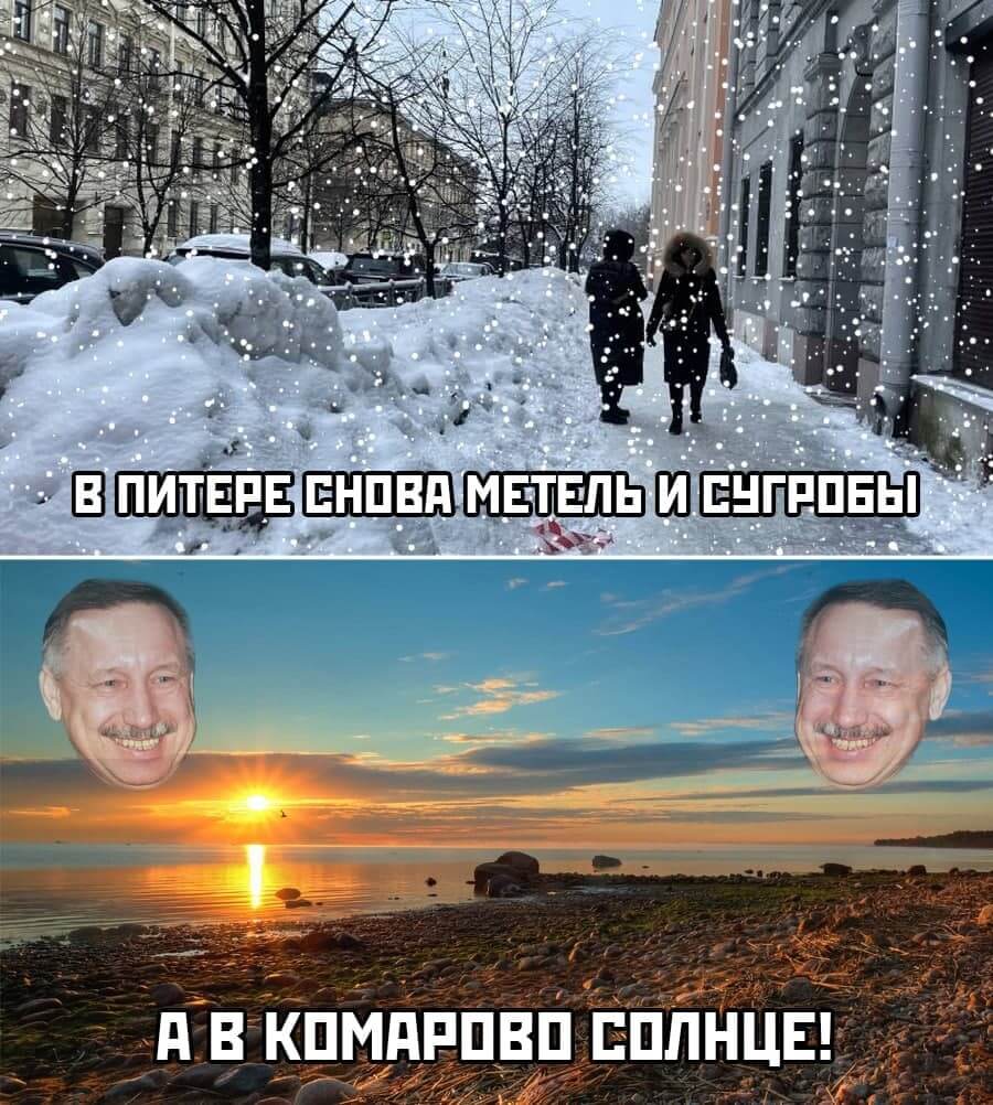 Петербуржцы высмеяли проваленную Смольным уборку снега мемом про Комарово