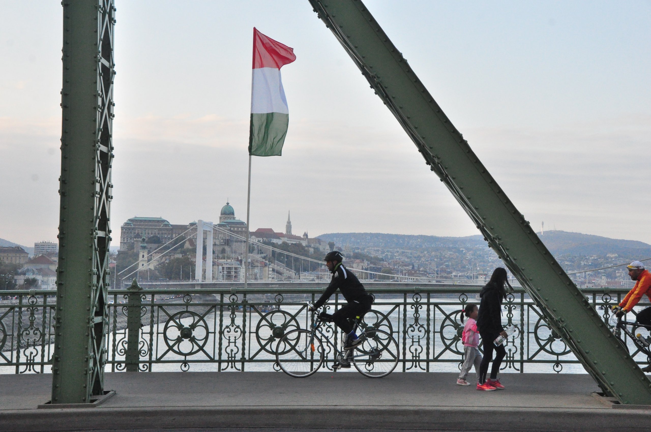 Венгрия против россии. Венгрия за Россию. Правительство Венгрии. Венгрия против ЕС.